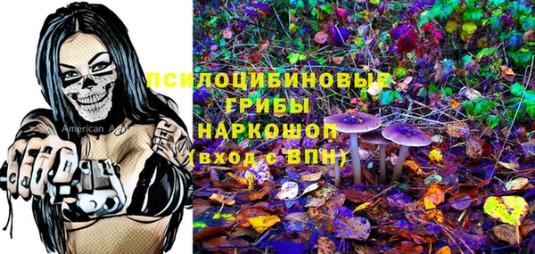 СК Арсеньев