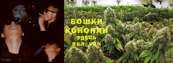 СК Арсеньев