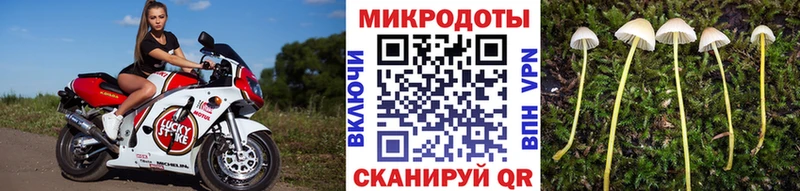 Псилоцибиновые грибы Psilocybine cubensis  где продают   Багратионовск 